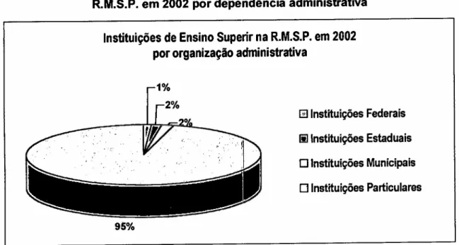 Gráfico 10: Distribuição percentual das Instituições de Ensino Superior na R.M.S.P. em 2002 por dependência administrativa