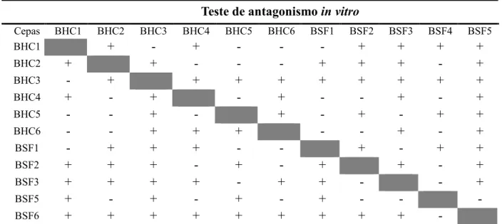 Tabela 4  – Resultado do teste de antagonismo entre as cepas isoladas   Teste de antagonismo in vitro