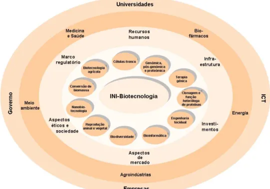 Figura 3 - Escopo da INI-Biotecnologia 
