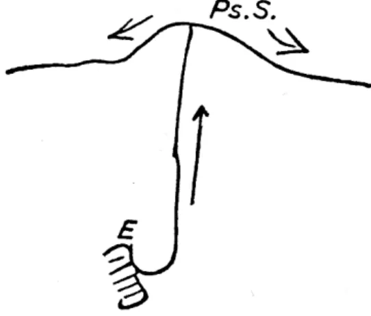 Fig. 3 – No seu manuscrito sobre “Melancolia”, do início de 1895, Freud comparou a “mania” com a “melancolia”, utilizando o diagrama acima