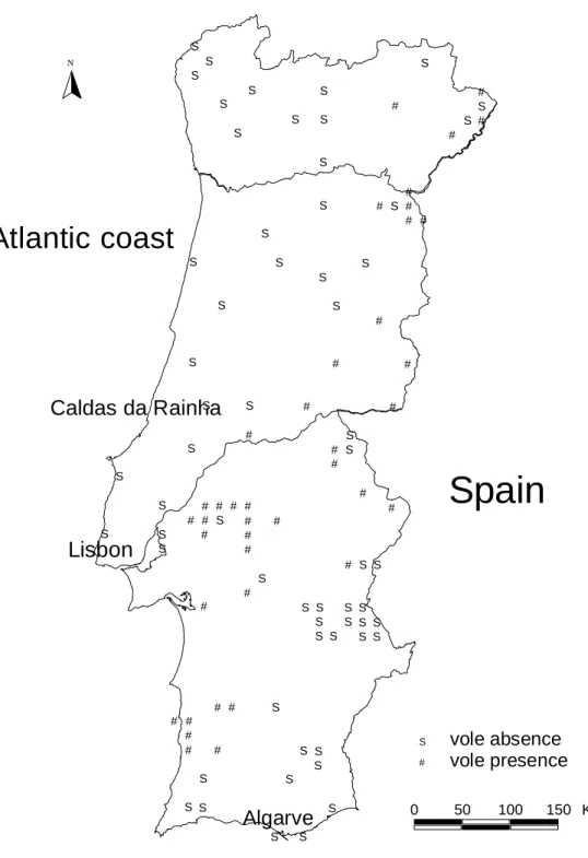 Figure 1. Presence/Absence of Microtus cabrerae in the sampled sites and localization of Lisbon and  Caldas da Rainha cities and Algarve region