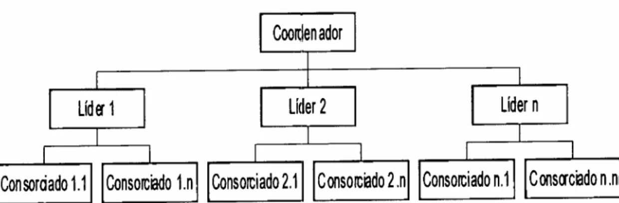 Figura 3 :rqponmlkjihgfedcbaZYXWVUTSRQPONMLKJIHGFEDCBA Pool de Underwriting