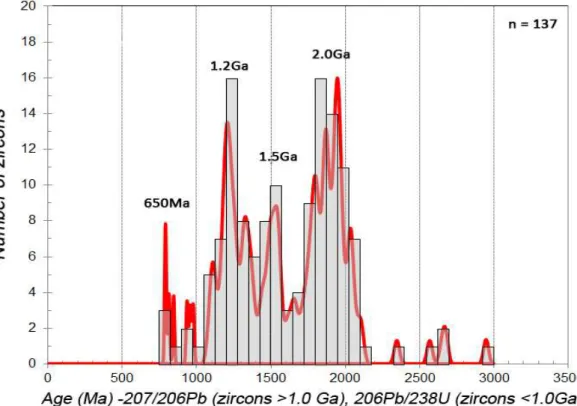 Figure 6 - Histogram and probability density plot of detrital zircons from the A555  sample