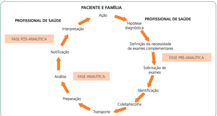 Figura 1 – O processo laboratorial