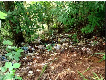 FIGURA 10: Disposição final inadequada de resíduos sólidos domésticos nas proximidades de uma das  nascentes do rio do Monjolinho