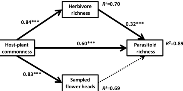 Figure  1.4:  Path  analysis  model  for  parasitoid  species  richness  associated  with  Asteraceae  species in cerrado remnants in São Paulo, Brazil