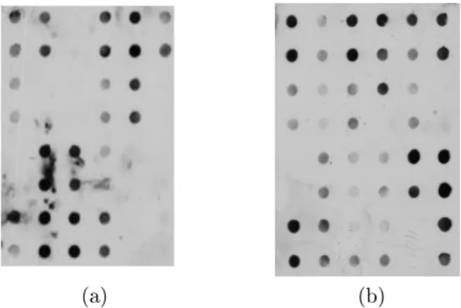 Figura 3.8: Duas imagens usadas na classicação do nível de ruído: (a) Imagem contagiada com ruído