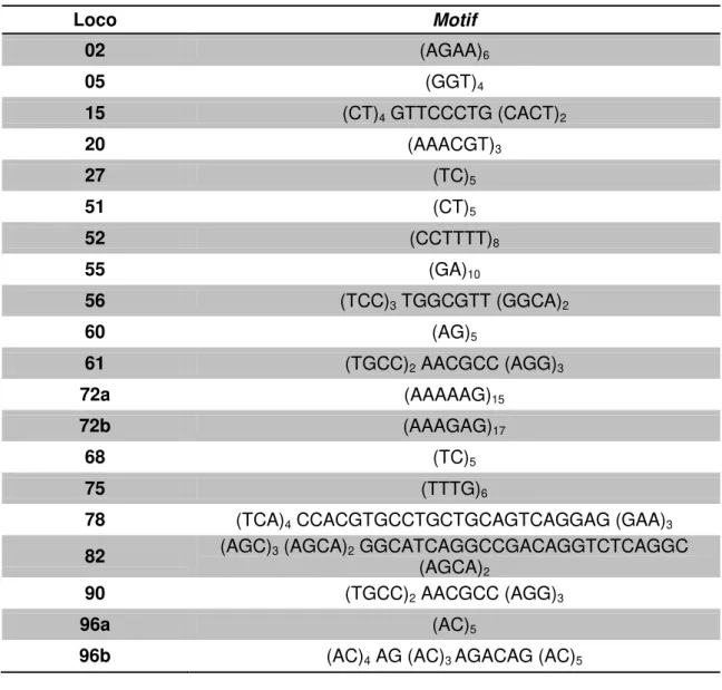 Tabela 01: Relação de todos os microssatélites prospectados: nomenclatura dos locos e motifs.