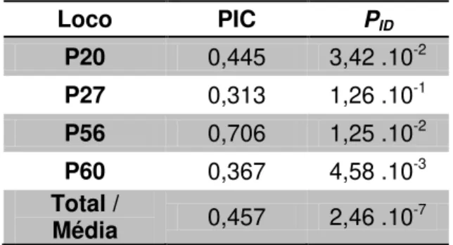 Tabela  05:  Polymorphism  Information  Content  (PIC)  e  Probabilidade  de  Identidade  ( P ID )  para  os  quatro locos de microssatélites polimórficos de Crax blumenbachii