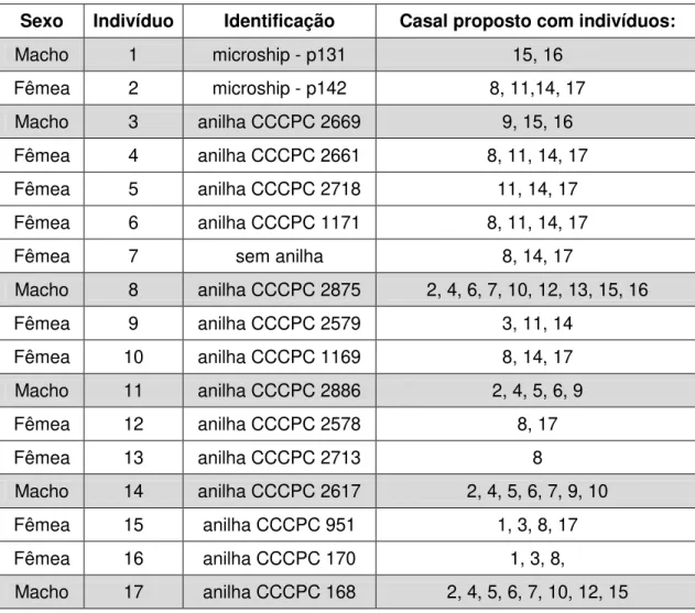 Tabela 08: Casais não relacionados geneticamente, propostos para reprodução no Criadouro Poços  de Caldas, baseados nos programas ML Relate, Kingroup e GenAlEx