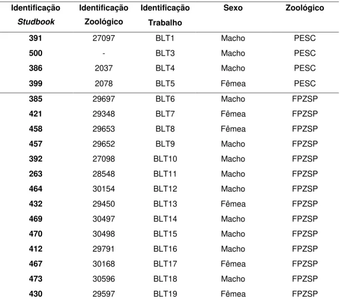 Tabela 1-Identificação dos 37 indivíduos que fazem parte da colônia cativa do Mico-Leão-Preto no  Brasil