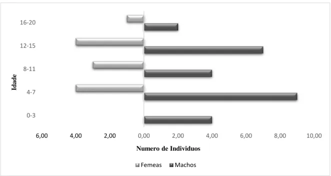 Figura 8- Estrutura etária da população atual do mico-leão-preto. Em cinza claro são representadas  as fêmeas; em cinza escuro são representados os machos