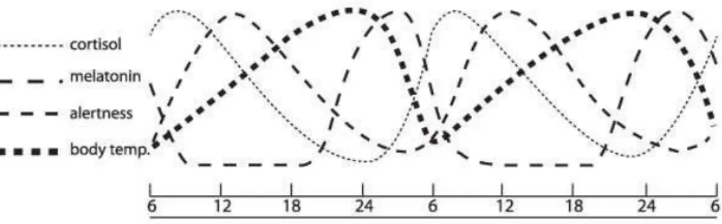 Figura 4- Curvas espetrais de influência biológica e de sensibilidade visual       Fonte:(Bommel e Beld, 2003) 
