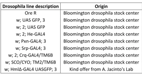 Table 1- Drosophila lines used  