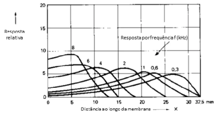 Fig. 2.19 – Esquema do mecanismo de funcionamento acústico da cóclea [27]