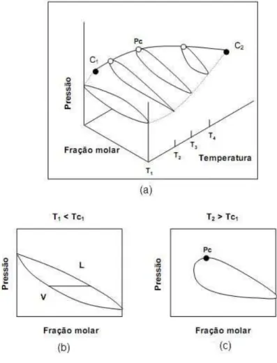 Figura 2. 4 (a): projeção P-T-x para um fluido com comportamento de fases tipo I; (b) e (c):  Projeção P-x a determinadas temperaturas para um fluido tipo I 