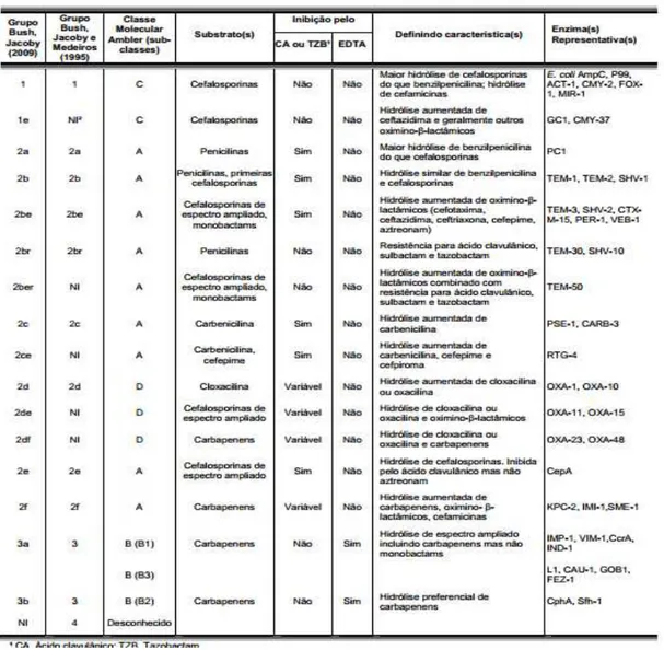 Tabela  2-  Classificação  das  β  -lactamases  (Adaptado  de  Bush  &amp;  Jacoby,  2010)