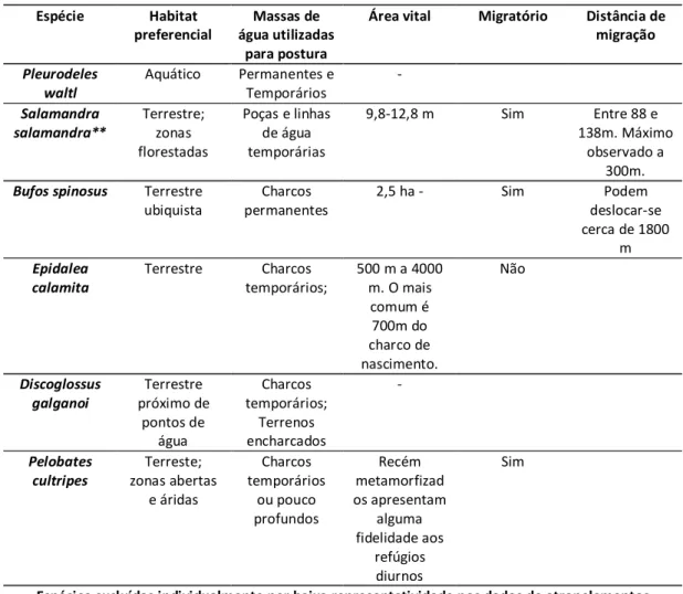 Tabela 1 – Resumo de características biológicas que possam influenciar o número de atropelamentos das espécies  de anfíbios registadas neste estudo*