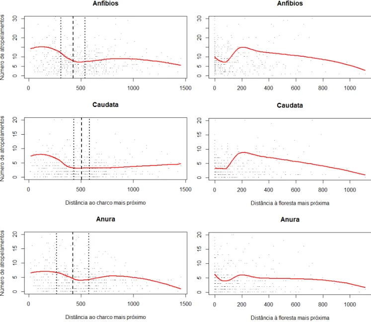 Figura 2 – Linha de smooth do número de atropelamentos por segmento de 100 m em relação à “Distância ao charco mais próximo” (esquerda)  e  à  “Distância  à  floresta  mais  próxima”  (direita)  para  “Anfíbios”, “Caudata”  e  “Anura”