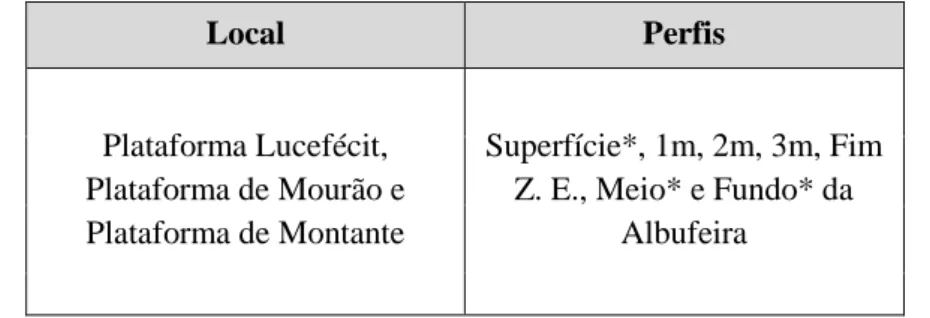 Tabela 2 - Representação do local da amostragem, da descrição das campanhas realizadas e os perfis  analisadas em laboratório  Local  Perfis  Plataforma Lucefécit,  Plataforma de Mourão e  Plataforma de Montante  Superfície*, 1m, 2m, 3m, Fim Z