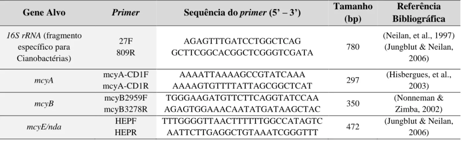 Tabela 4 - Informação dos Primers que foram utilizados na amplificação de cada um dos genes alvo 
