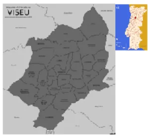 Figura 7 — Mapa da cidade de Viseu 