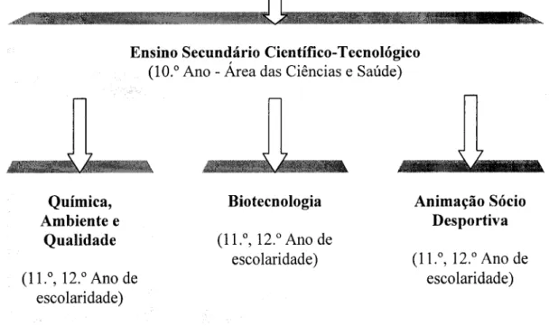 Figura 5 - Situação do novo Curso Secundário Científico-Tecnológico de Química, Ambiente e  Qualidade do Colégio dos Carvalhos