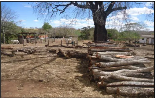 FIGURA  4  –  Registro  de  desmatamento  evidenciado  na  Bacia  do  Verde  Grande na região de Montes Claros