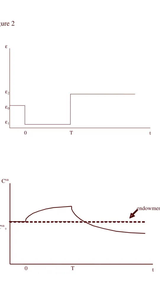 Figure 2  t   ε0   T   ε0ε1  ε2   tCNB0TCNB0 endowment