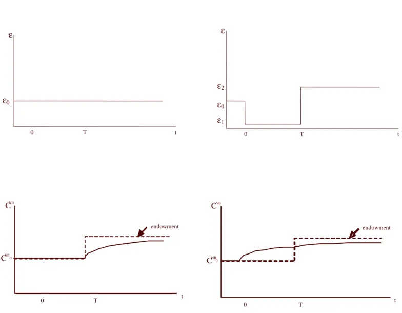 Figure 3  tε0Tε0  tε   0Tε0 ε1 ε2  tC NB 0 TC NB0 endowment0TtC NBC NB0endowment