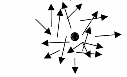 Figura 1- Questão Focal sob ação das diversas Forças Motrizes