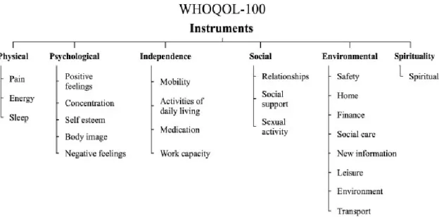 Figura 4. Esquema dos domínios e itens do WHOQOL-100 (Cazzorla, et al., 2012). 