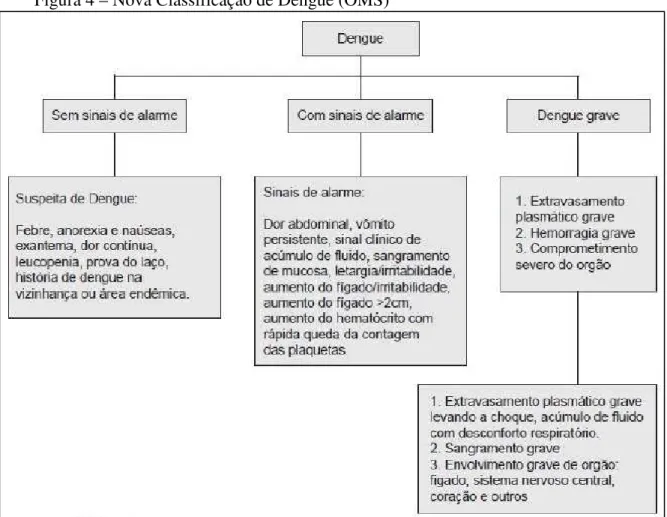 Figura 4 – Nova Classificação de Dengue (OMS) 