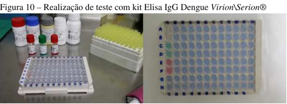 Figura 10 – Realização de teste com kit Elisa IgG Dengue Virion\Serion® 