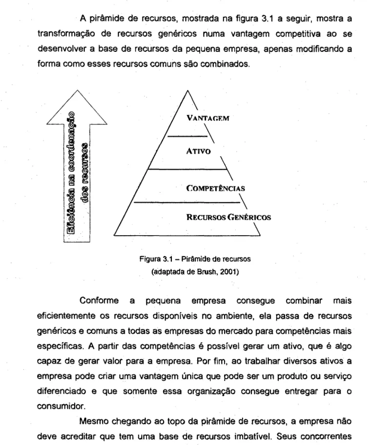 Figura 3.1  - Pirâmide de Jlecursos  (adaptada de Brush, 2001) 