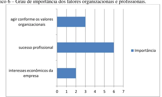 Gráfico 6  –  Grau de importância dos fatores organizacionais e profissionais. 