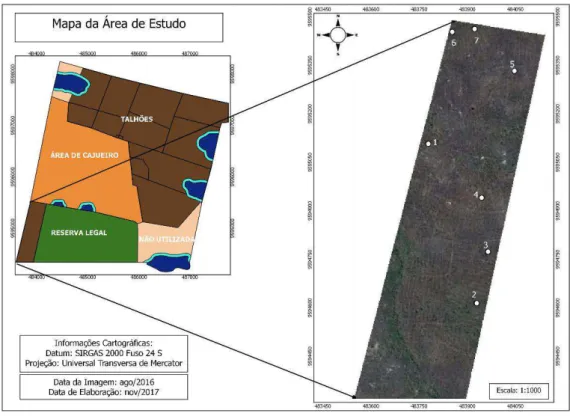 Figura 2  –  Planta da área manejada. Talhão 01 (T01), compreendendo 38,98ha. 