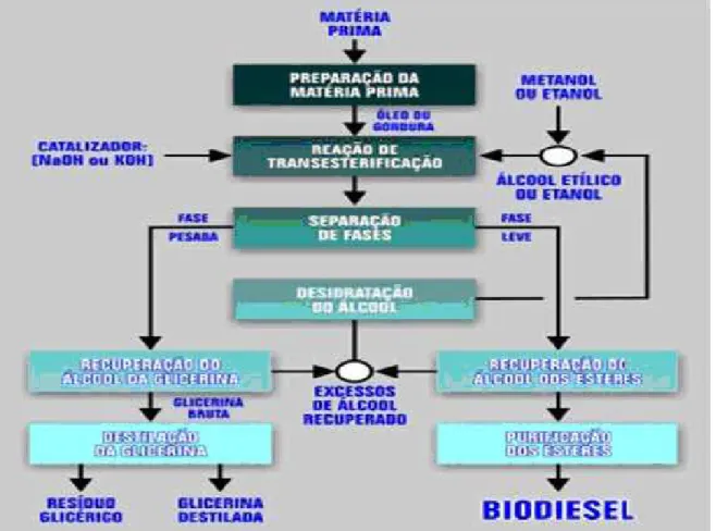 Figura 1: Processo de produção de biodiesel  Fonte: Parente (2003, apud Holanda, 2004, p.34)