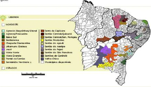 Figura 5: Polos de produção de biodiesel no Nordeste   Fonte: SAF/MDA (2010) 