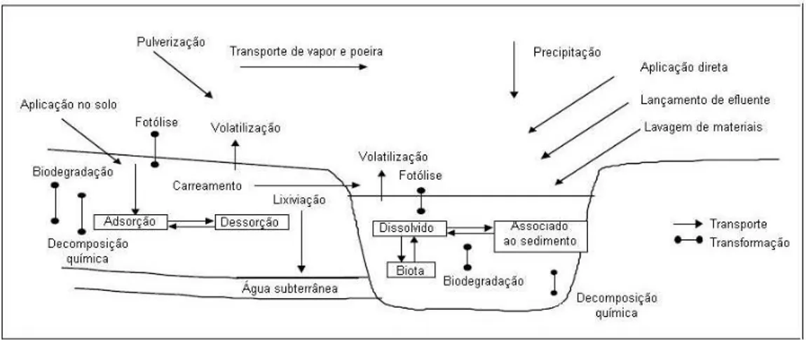 Figura 3 – Dinâmica de agrotóxicos no meio ambiente. 