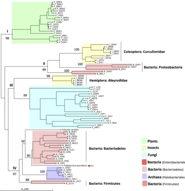 Fig 4. Phylogenetic tree based on the closest homology to the catalytic domain of Pp-PME