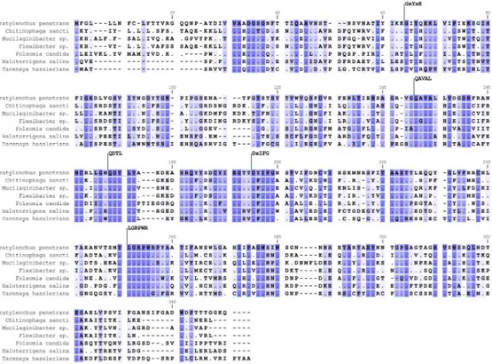 Fig 2. Multiple sequence alignment of the predicted Pp-PME protein of Pratylenchus penetrans with PMEs of other organisms
