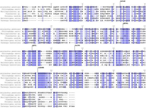 Fig 2. Multiple sequence alignment of the predicted Pp-PME protein of Pratylenchus penetrans with PMEs of other organisms