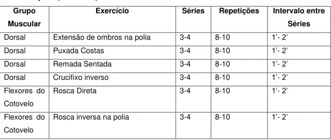 Tabela 5 - Programa de treinamento resistido (Musculação) Aplicado  aos Grupos (Rotina 3)