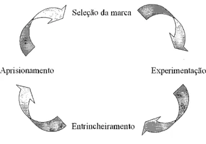 Figura 3.3 - O Ciclo do Aprisionamento 