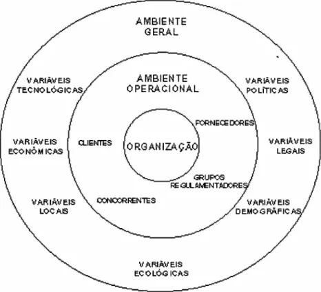 Figura 4 - O ambiente organizacional (Chiavenato - 2002)