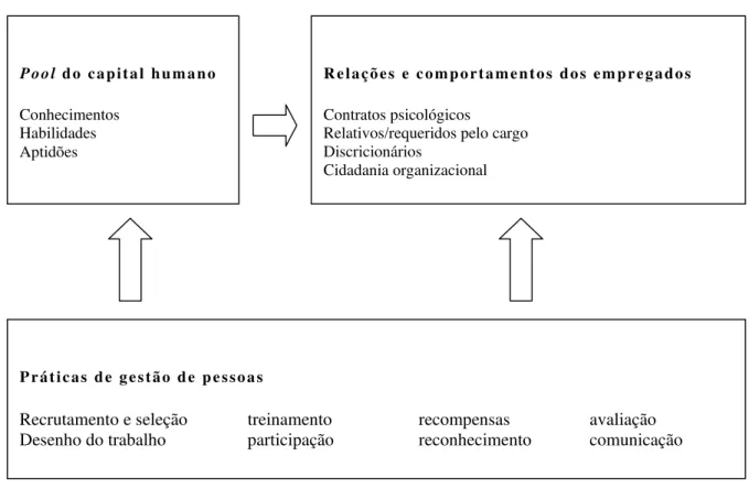 Figura 7 – Arquitetura dos recursos humanos 