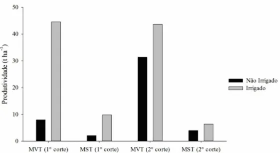 Figura 2. Produtividade de massa verde (MVT) e seca (MST) da Tithonia diversifolia em função  do regime hídrico em dois períodos consecutivos de 80 dias de crescimento