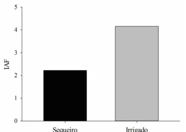 Figura 4. Índice de Área Foliar (IAF) da Tithonia diversifolia adubada com biofertilizante bovino  em sistema de cultivo irrigado e em sequeiro