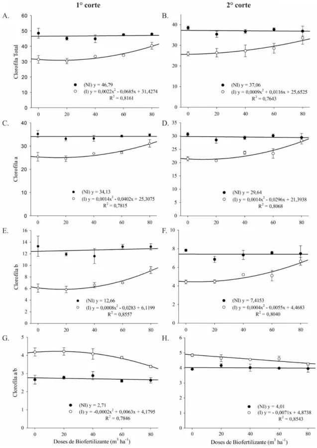Figura 5. Teores foliares de clorofila total (A e B), clorofila a (C e D), clorofila b (E e F) e razão  clorofila a/b  (G  e  H)  de  Tithonia  diversifolia  adubados  com  doses  crescente  de  biofertilizante  bovino em regime irrigado (I) e não irrigado